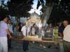tn_Picture 01 (6)